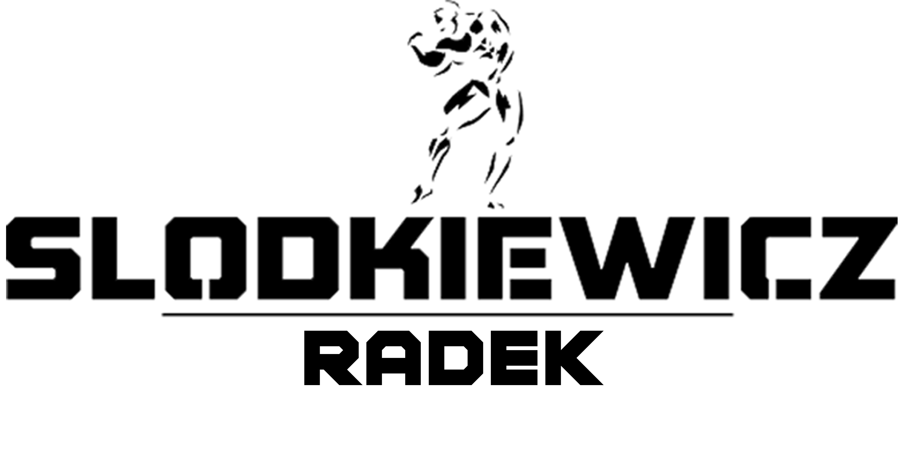 logo Radek Słodkiewicz